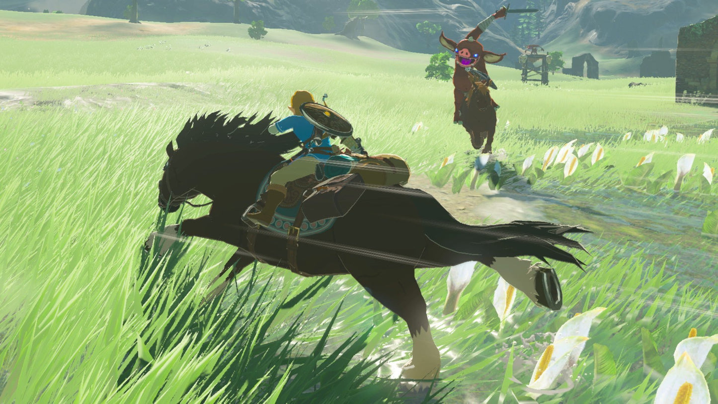 The Legend of Zelda: Breath of the Wild Switch (2560066)