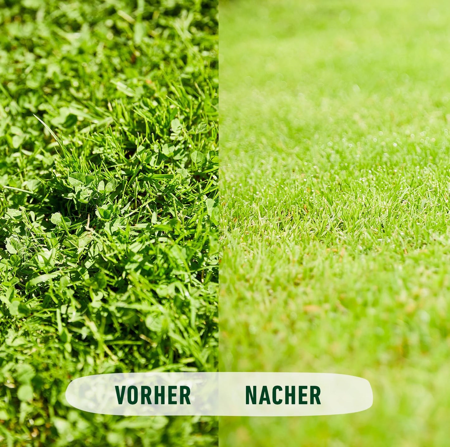 COMPO lawn fertilizer against weeds and moss complete care lawn fertilizer with weed killer, moss killer, 3 months long-term effect 9 kg, for 300m² - 26173