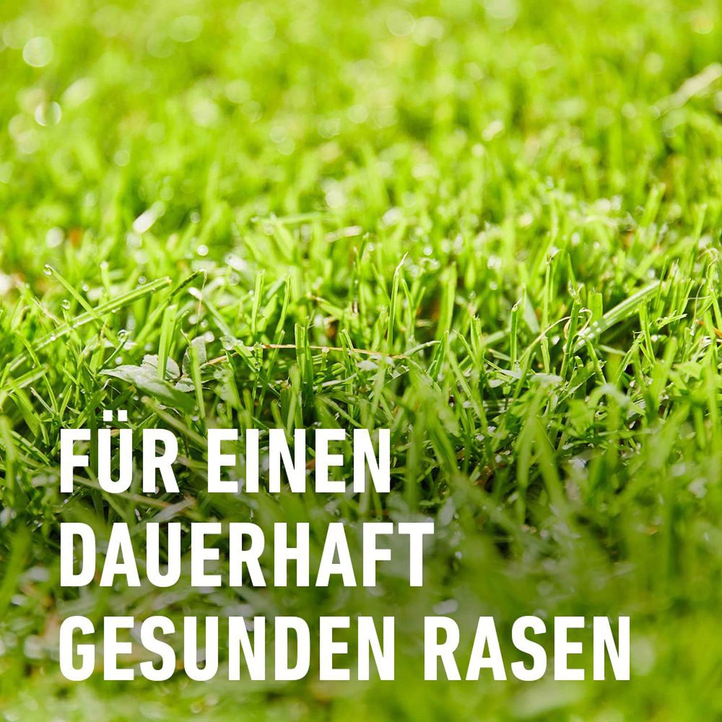 COMPO lawn fertilizer against weeds and moss complete care lawn fertilizer with weed killer, moss killer, 3 months long-term effect 9 kg, for 300m² - 26173