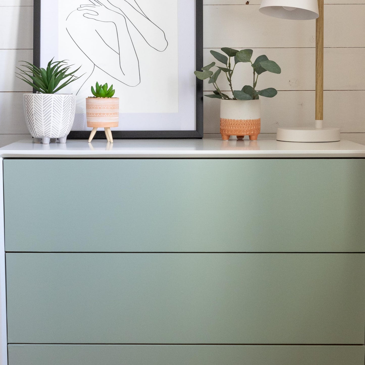 d-c-fix furniture adhesive film Sage Green, 67.5 cm x 15 m - washable and self-adhesive decorative film for kitchen, cupboard, table and windowsill - modern & sustainable - F2008342