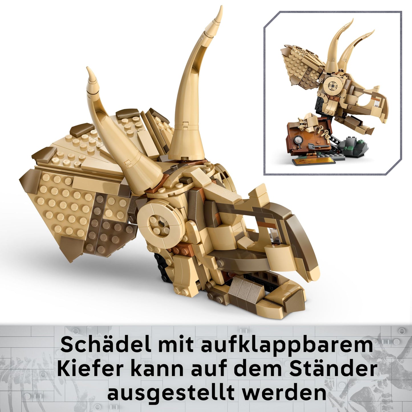 LEGO Jurassic World Dinosaur Fossils: Triceratops Skull Model, Dinosaur Toy for Boys and Girls Ages 9 and Up, Gift for Children and Jurassic World Fans 76969