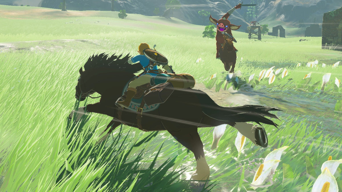 The Legend of Zelda: Breath of the Wild - [Nintendo Switch] - 2520040
