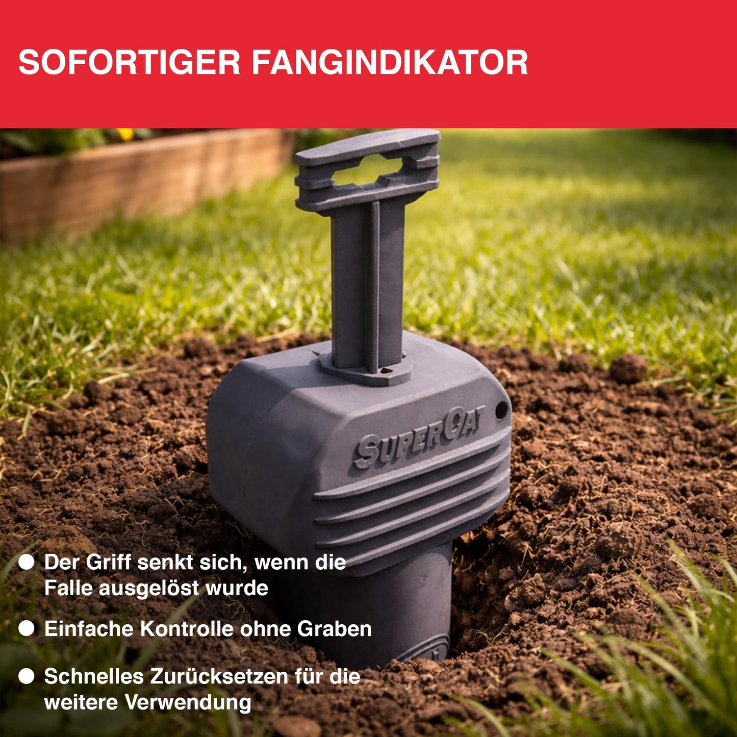 SWISSINNO vole trap PRO SuperCat incl. accessory set - efficient snap trap against field mice and voles, patented trigger mechanism, safe + reusable - 2 traps + 1 accessory set