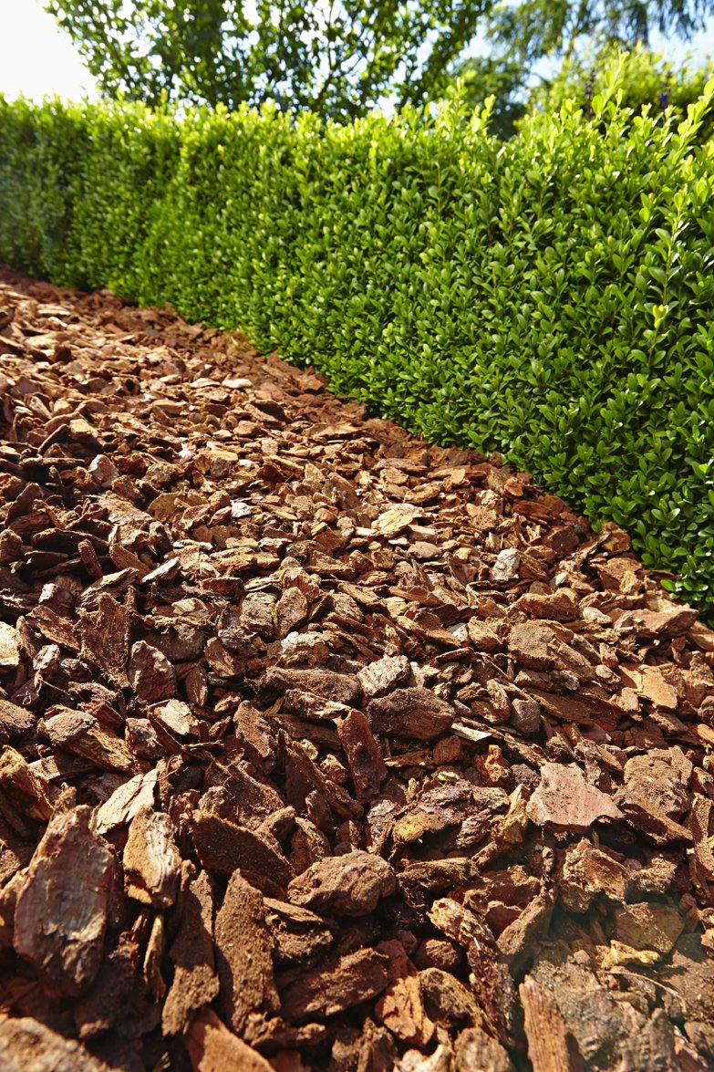 Floragard pine bark 120 L (2×60 L, 25-40 mm) – decorative premium mulch & natural ground cover for beds, planting areas, perennial and woody beds as well as paths – suppresses weeds - 114883