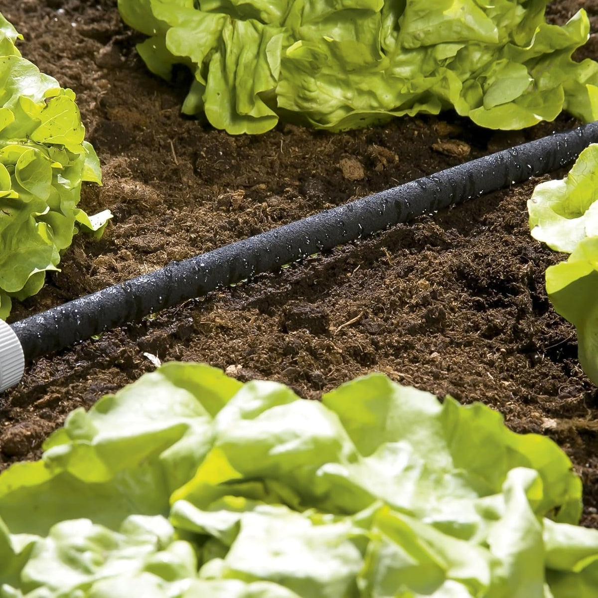 Gardena Perl-Regner: Water-saving hose sprinkler for watering rows of plants and flower beds, saves up to 70 percent water, individually adjustable, easy to use, hose length: 15 m (1969-20) - 01969-20