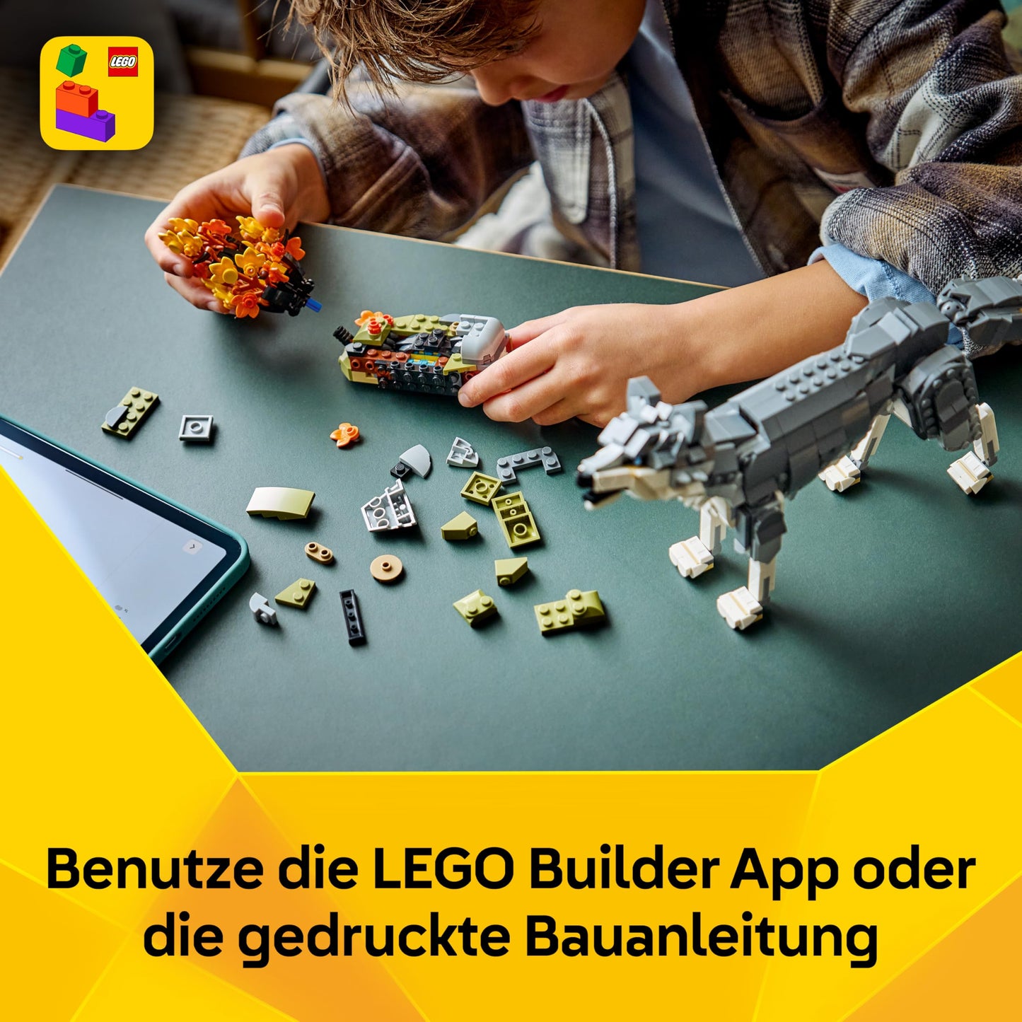 LEGO Creator Forest Animals: Wolf Toy - Animal Figure with 2 Building Options - Falcon or Raccoon - DIY Decoration for the Children's Room - Birthday Gift for Girls & Boys Ages 8 and Up - 31393