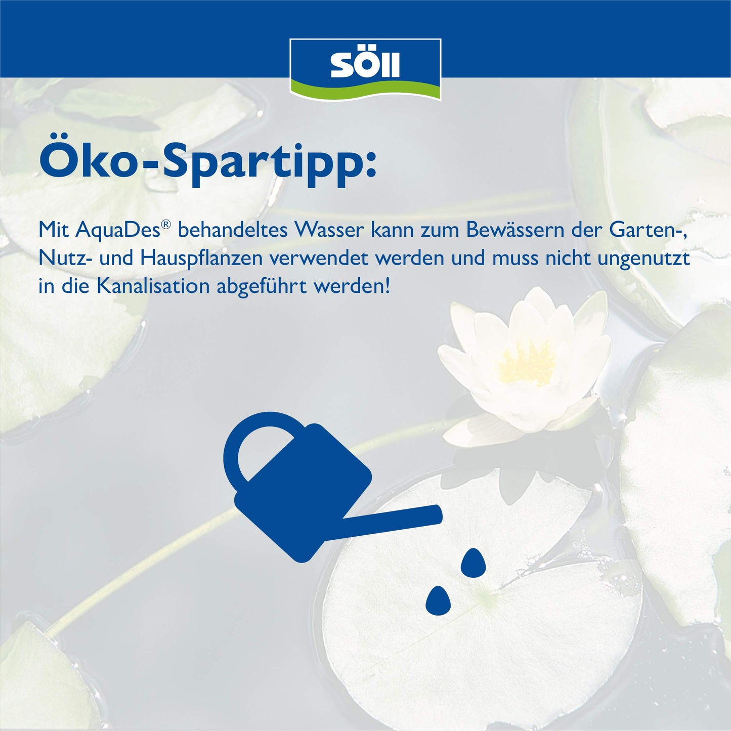 Söll 80426 AquaDes, 10 l - pool disinfection, pool cleaning, water care against bacteria and germs, disinfectant for pool paddling pool swimming pool children's pool