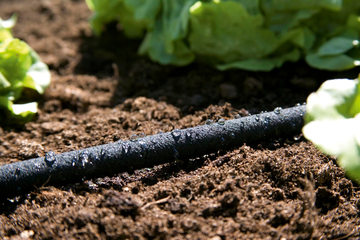 Gardena Perl-Regner: Water-saving hose sprinkler for watering rows of plants and flower beds, saves up to 70 percent water, individually adjustable, easy to use, hose length: 15 m (1969-20) - 01969-20