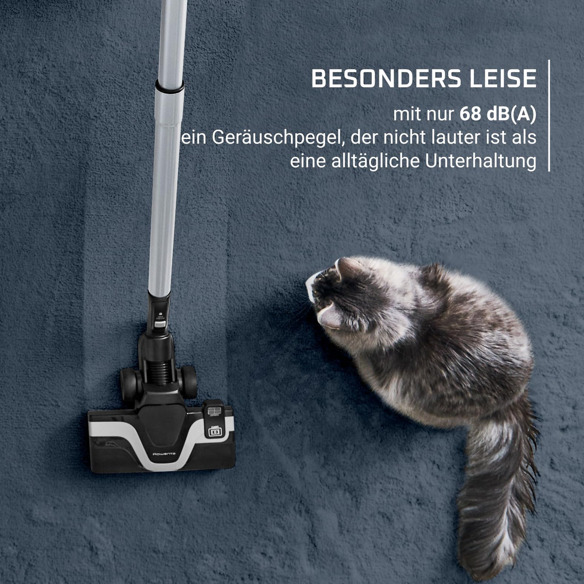 Rowenta Green Force Cyclonic Effitech Animal, bagless vacuum cleaner, 500 W, 2.5 liters XXL capacity, particularly quiet at 66 decibels, Black-Aluminum, RO7C66