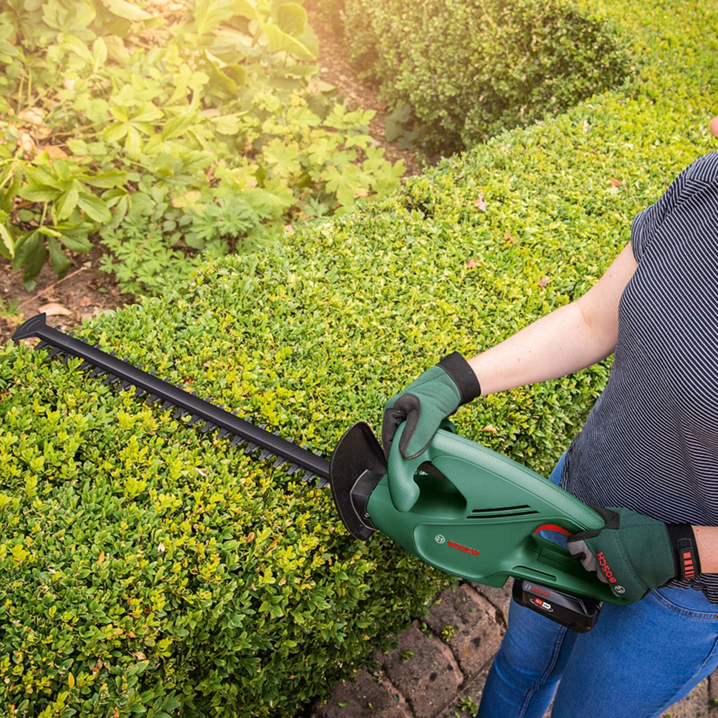 Bosch cordless hedge trimmer EasyHedgeCut 18-45 (without battery/charger) - 0600849H03