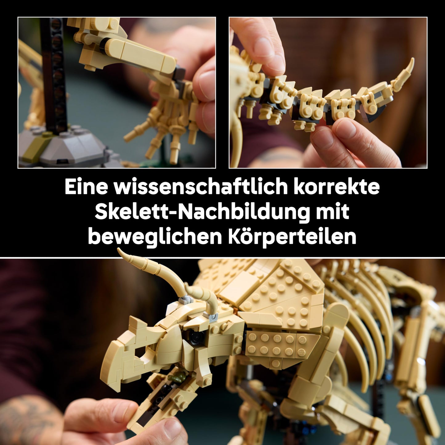 LEGO Jurassic World Dinosaur Fossils: Triceratops - Model building for adults with the minifigure Dr. Gerry Harding - DIY decoration for the shelf - gift idea for Jurassic Park fans - 77985