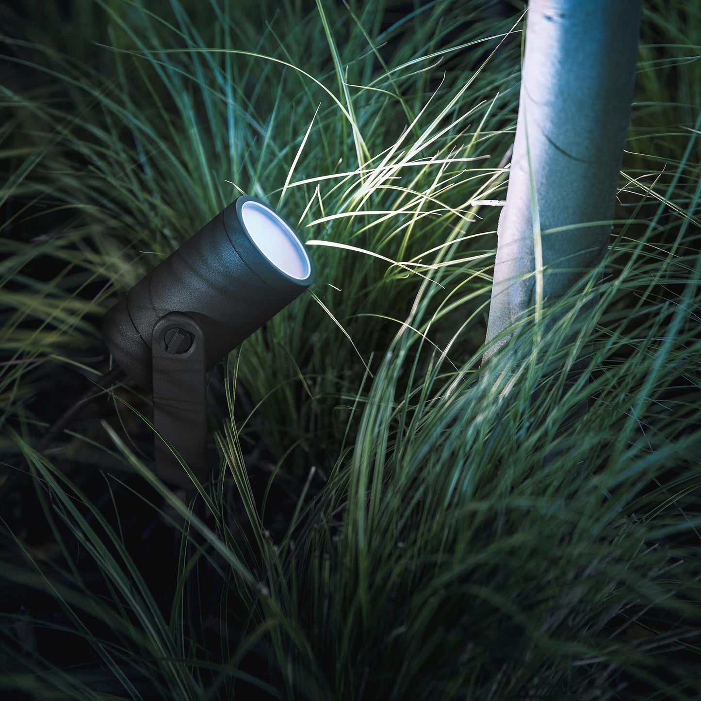 Philips Hue White & Color Ambiance Lily garden spot standard set with 40W power supply (590 lm), dimmable outdoor light with 16 million colors, light control via voice or app, black - 915005671701