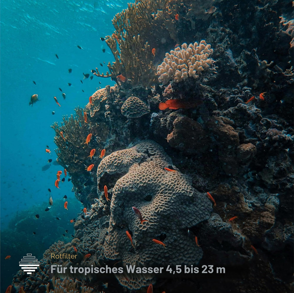 PolarPro - DiveMaster - for Hero 9/10/11 Black - Protective Housing - Quick and Secure - Capture Vibrant Colors in Blue, Green, and Shallow Waters - Diving - H9-1016