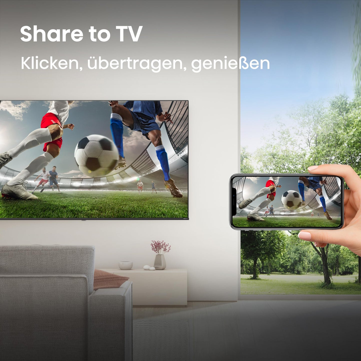 Hisense 40E4DS (40E4DS)