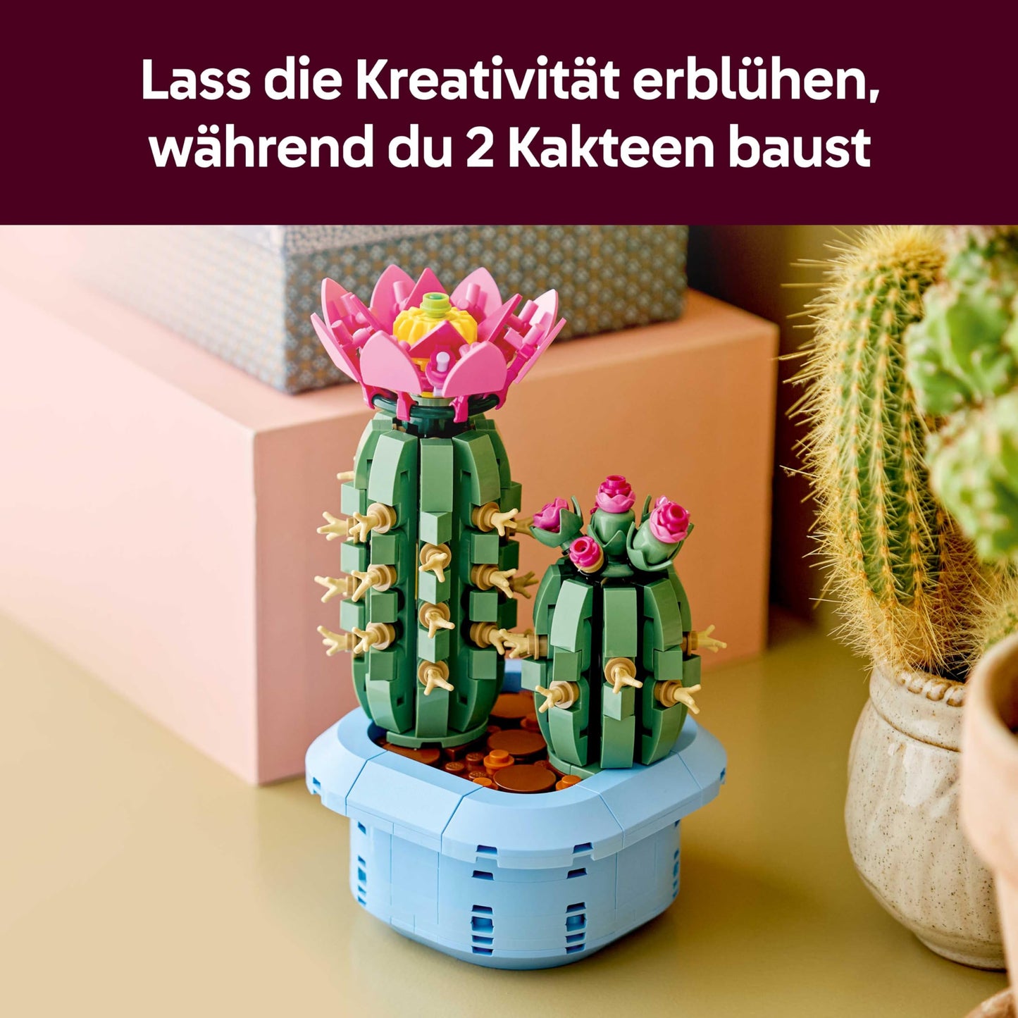 LEGO Botanicals Blooming Cactus - Set with artificial plant with 2 cacti and artificial flowers - DIY decoration - birthday gift idea for girls aged 9 and up & adult plant lovers - 11509