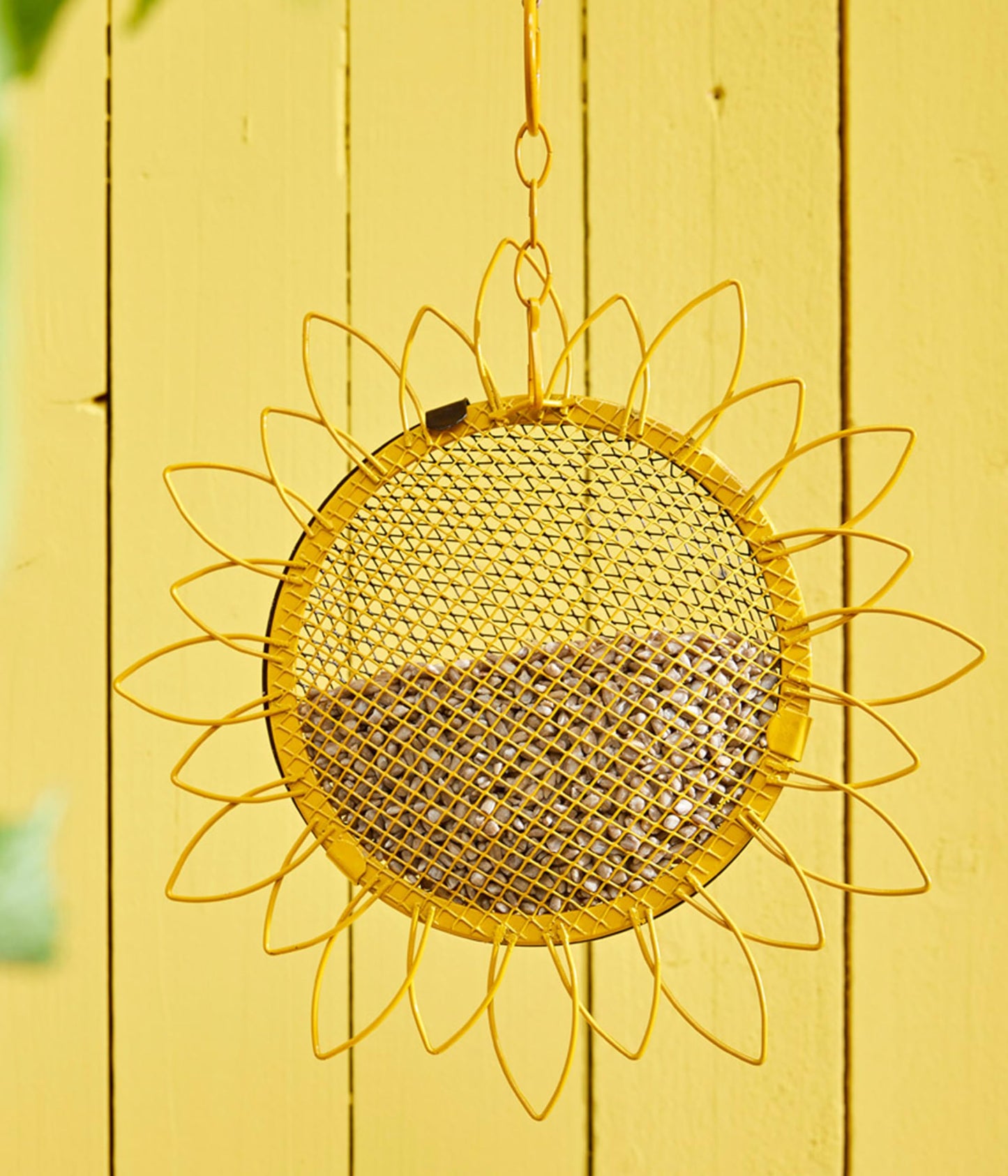 Dehner Natura Premium wild bird food, sunflower seeds shell-free, all-season food rich in protein / high in energy, high-quality bird food for wild birds, 10 kg - 5248349