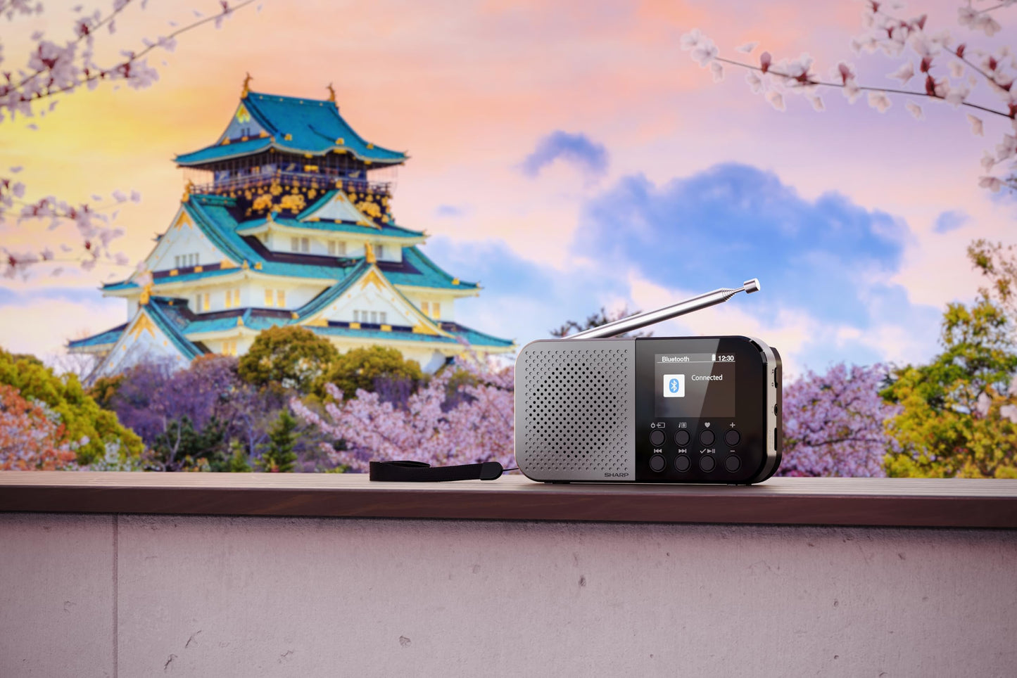 SHARP DR-P520(GY) Osaka Portable Digital Radio - DAB+, DAB, FM Radio with BestTune, 120 Memory Slots, Rechargeable Battery, USB-C Charging, Slideshow Function, Compact Handheld Design - Gray