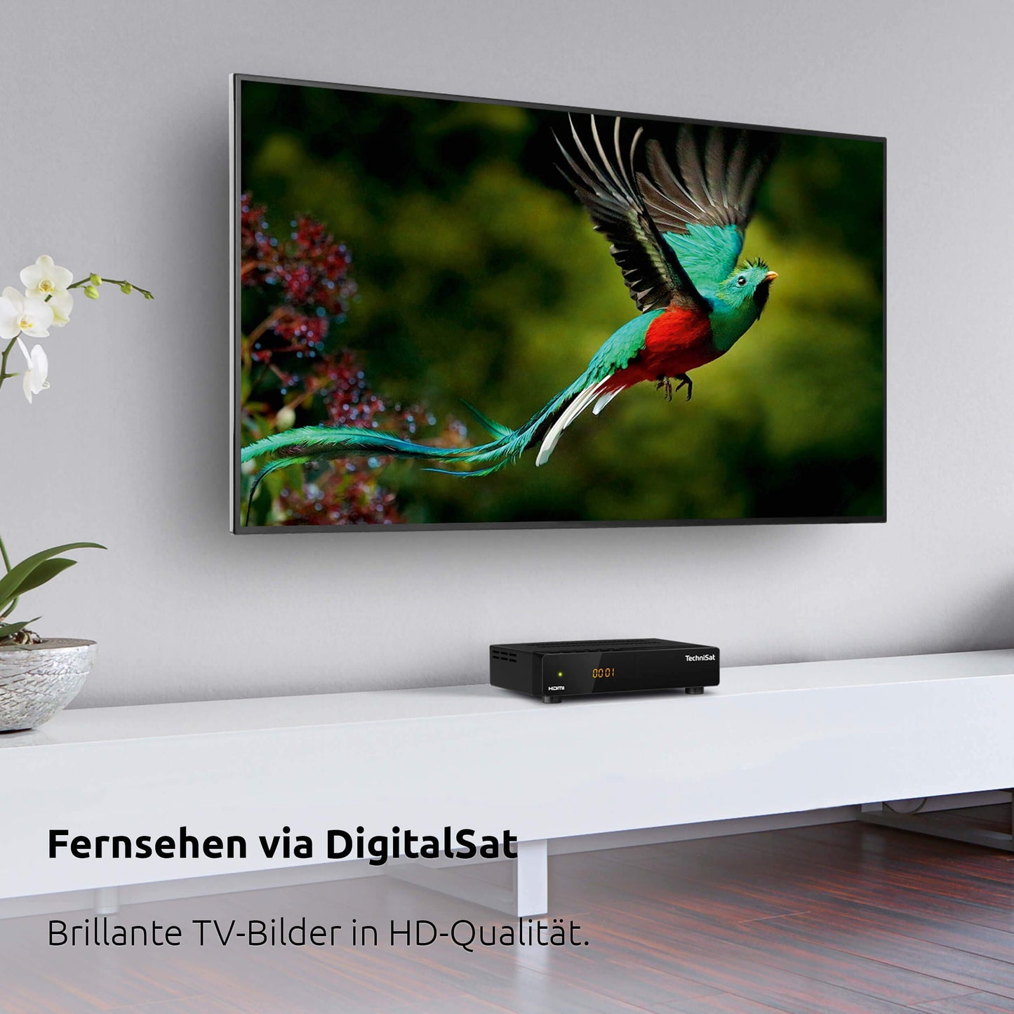 TechniSat HD-S 210 satellite receiver (DVB-S/S2, HDMI, USB media player, pre-installed channel list, sleep timer, remote control, EPG, compact) - 0000/4805