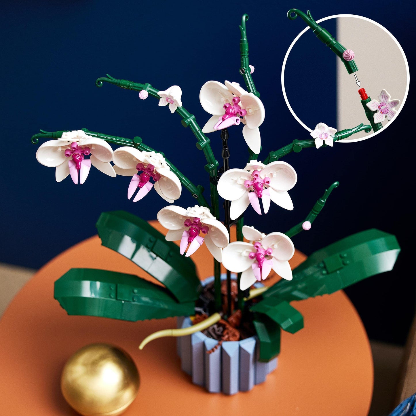 LEGO Icons Kingfisher Model Kit for Adults, Bird Model & Icons Orchid, Artificial Plants Set with Flowers, Model Kit - 10331
