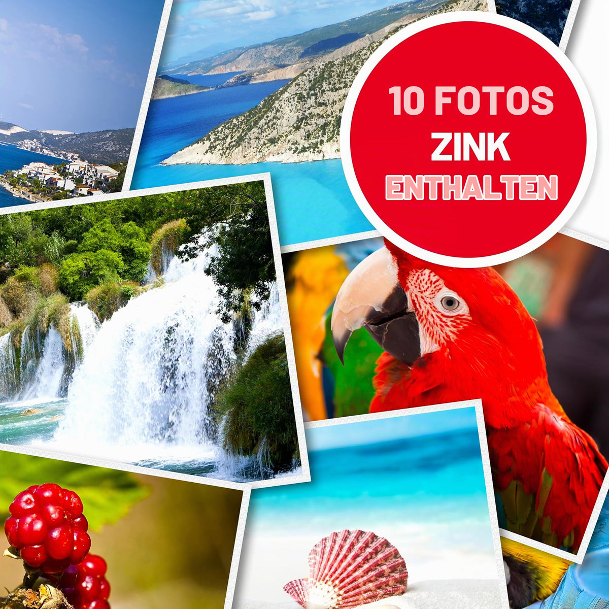 AGFA PHOTO Mini P.2 - Imprimantă Portabilă Zink pentru Fotografii Instantanee, Format 5x7,6 cm, Conexiune Bluetooth, Compatibilă iOS/Android, 10 Foi Zink Incluse - Alb - IMPRIMANTE