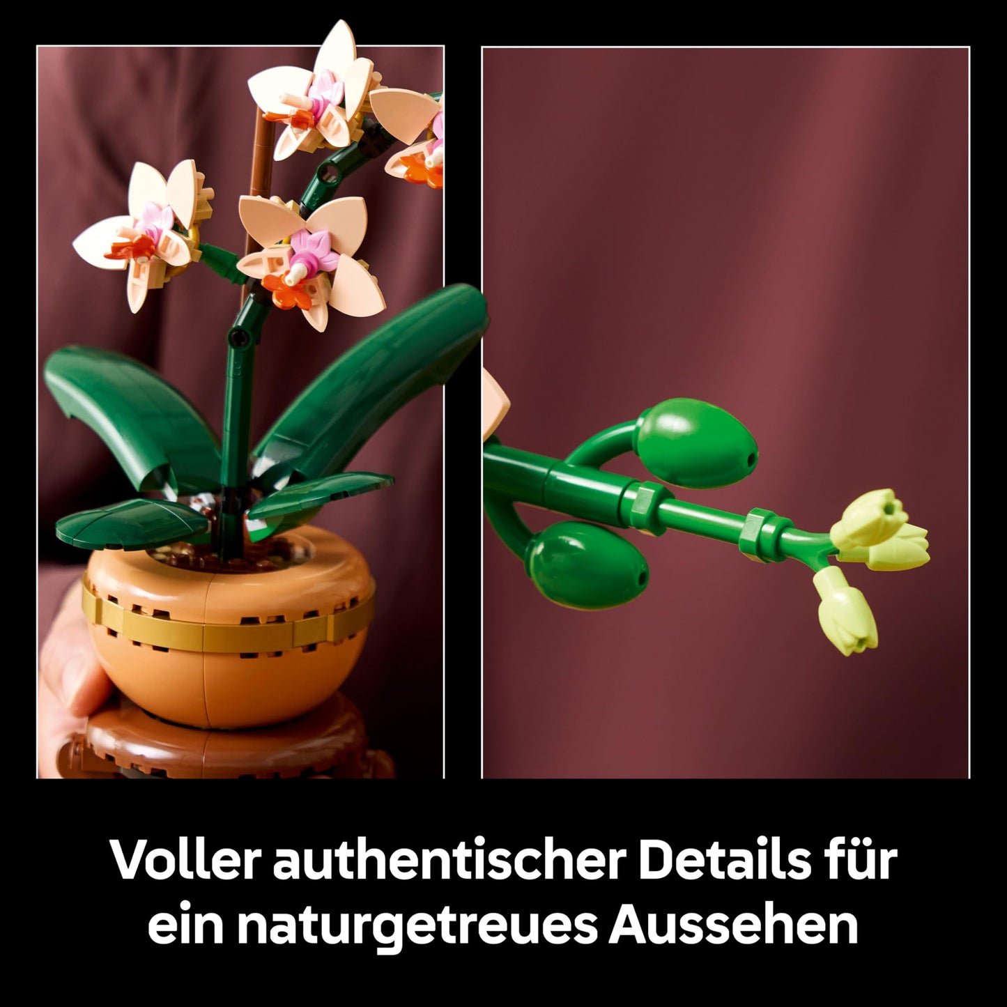 LEGO Botanicals Mini Orchid - Artificial Flower Set for Adults - Houseplant with Terracotta Style Flower Pot - DIY Birthday Gift Idea - 10343