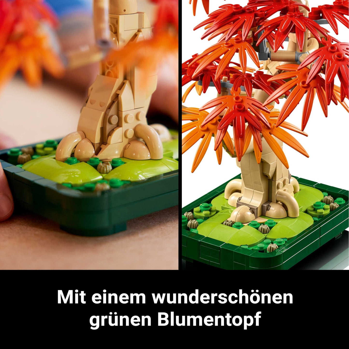 LEGO Botanicals Japanese Red Maple - Bonsai Tree - Artificial Plant Set with Red and Orange Leaves and a Buildable Flower Pot - Artificial Flowers DIY Decoration Gift for Adults - 10348