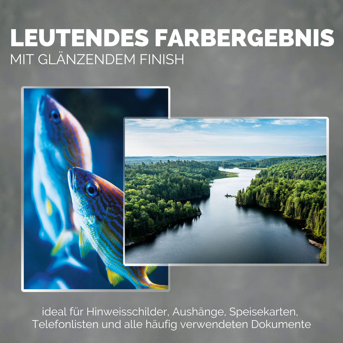 Fellowes Laminating Sheets A4, glossy, laminating film with 80 mic per side, featuring ImageLast alignment aid, for hot lamination, value pack with 500 high-quality laminating sheets (5 packs of 100 sheets each). - 5306127