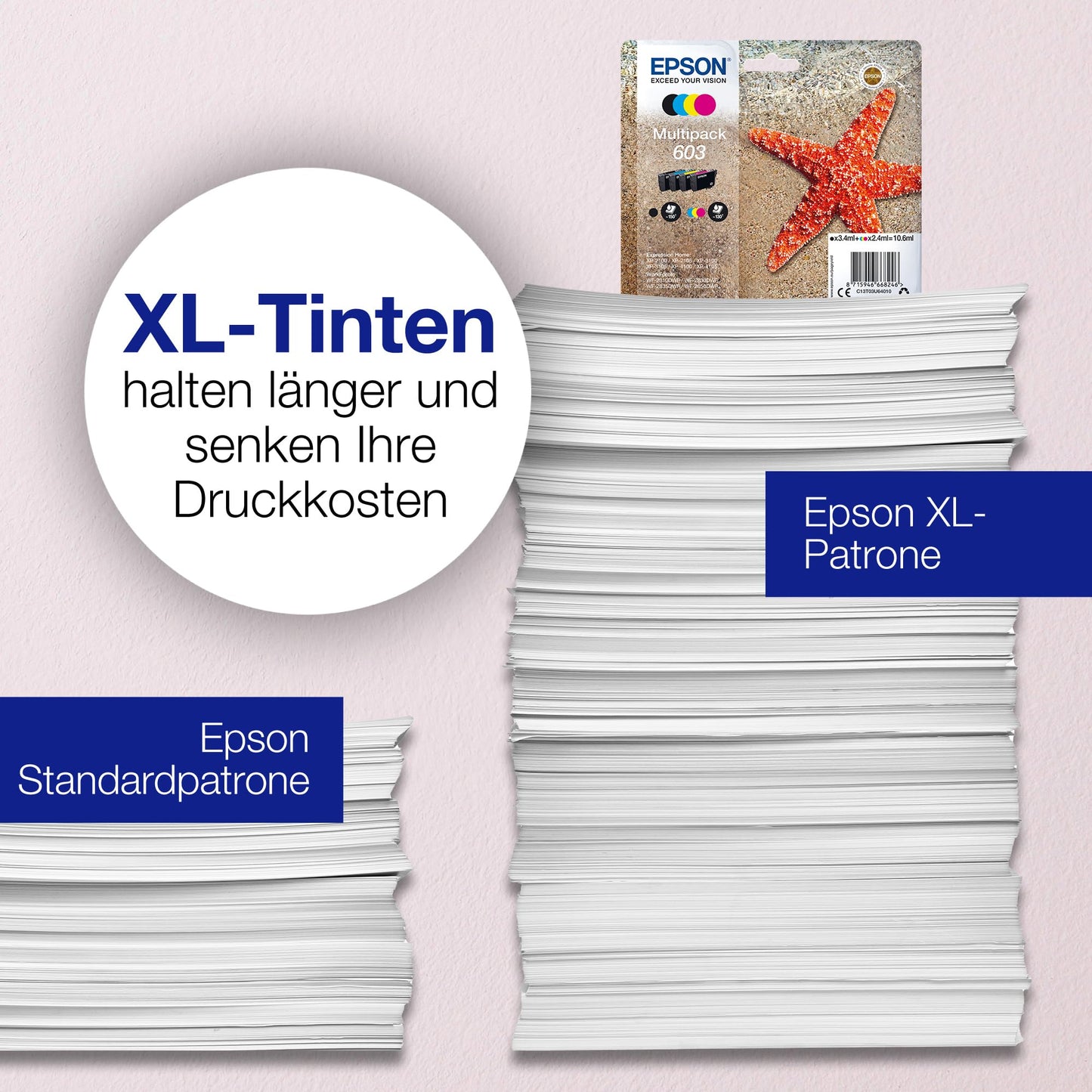 Epson 603 Multipack (C13T03U64510)