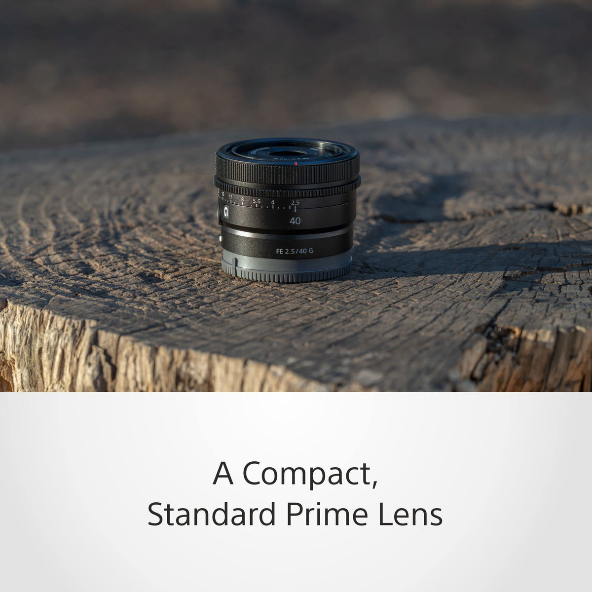 Sony SEL40F25G – FE 40 mm F2.5 G Full-Frame Prime Lens (Premium G Series, E-Mount, compact & lightweight, compatible with Sony A7 Series & ZV-E1, A6000 Series & ZV-E10) - SEL40F25G.SYX