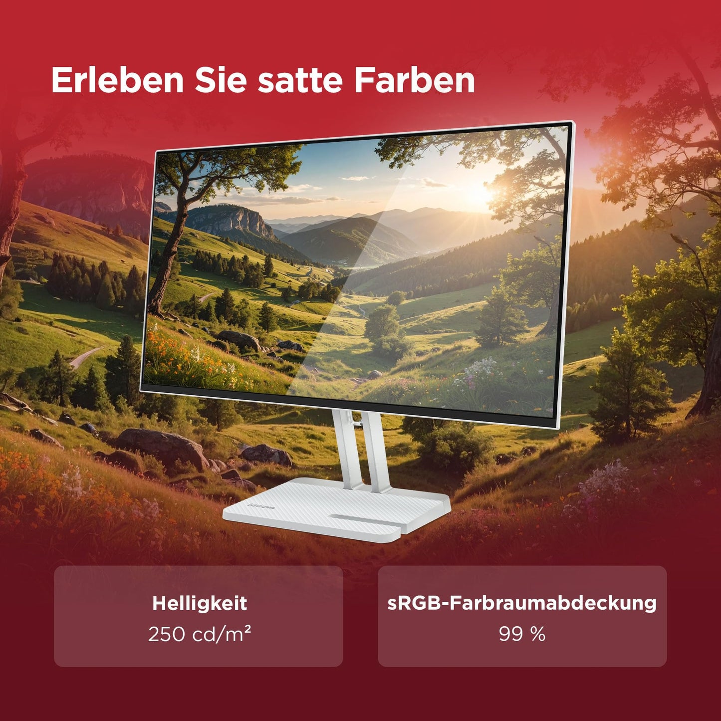 Lenovo L24-4C | 24" Full HD WLED Monitor - 67DDKAC6EU