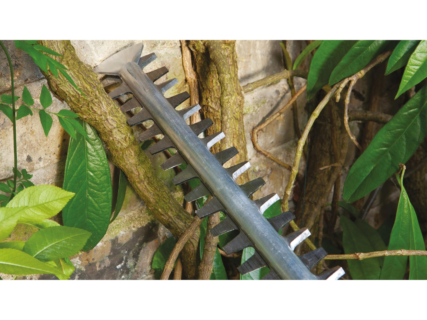Bosch cordless hedge trimmer EasyHedgeCut 18-45 - 0600849H02