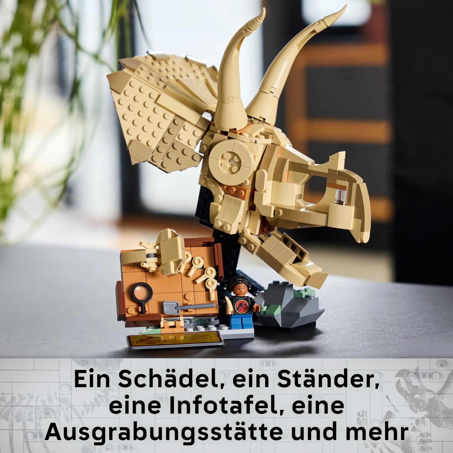 LEGO Jurassic World Dinosaur Fossils: Triceratops Skull Model, Dinosaur Toy for Boys and Girls Ages 9 and Up, Gift for Children and Jurassic World Fans 76969