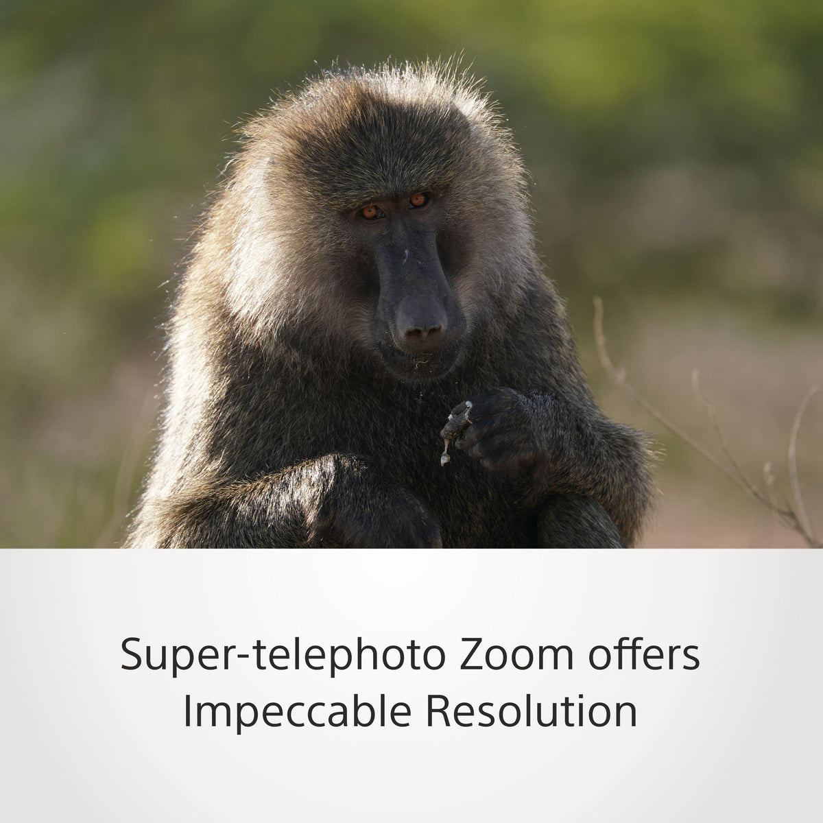 Sony SEL200600G – 200-600mm F5.6-6.3 G Telezoom for Full Frame & APS-C (large range, E-Mount, ideal for sports & wildlife, compatible with A7 series, ZV-E10, A6400, A6700) - SEL200600G.SYX