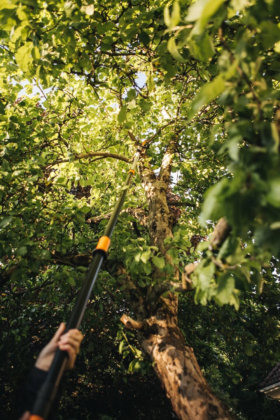 Fiskars Bypass Telescopic Cutting Giraffe for Fresh Branches and Twigs, Non-Stick Coating, Steel Blade/Aluminum Handle, Length 2.4-4m, Black/Orange, UPX86, 1023624