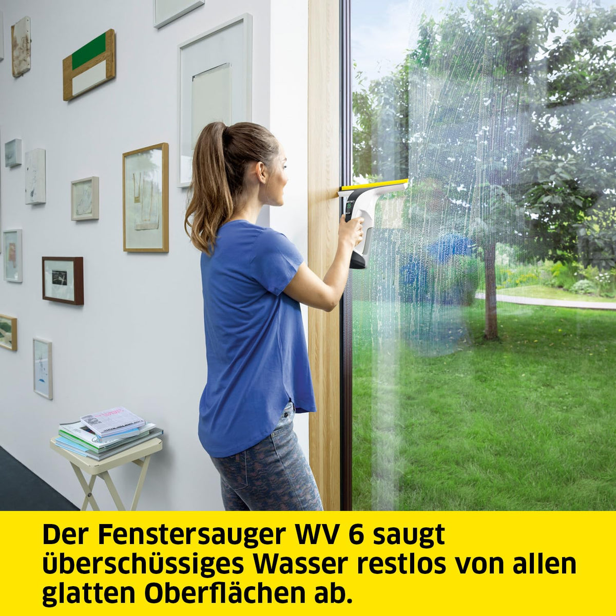 KÄRCHER Battery Window Vacuum WV 6 Plus, extra long battery life of 100 min - 1.633-741.0