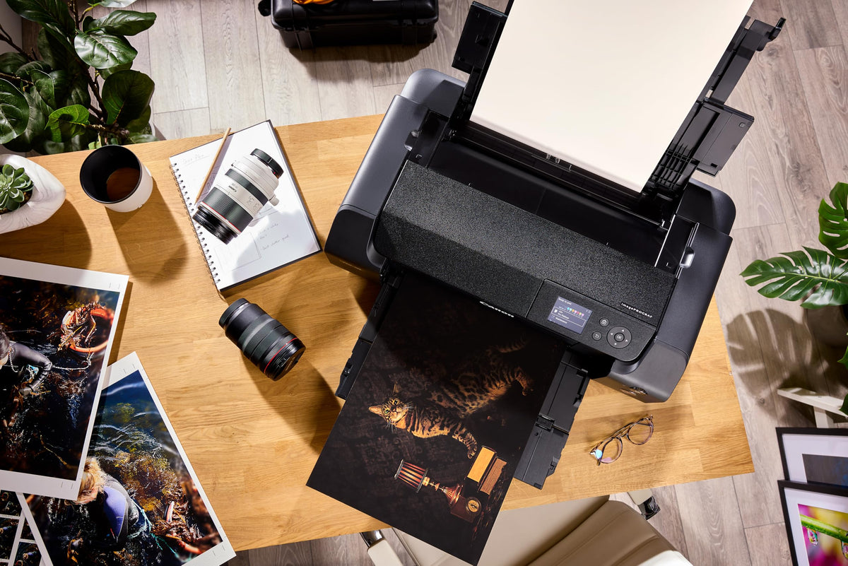 Canon Fotopapier SG-201 Plus Seidenglanz - DIN A3 20 Blatt pentru imprimante cu jet de cerneală – imprimante PIXMA (260 g/qm), 1686B026