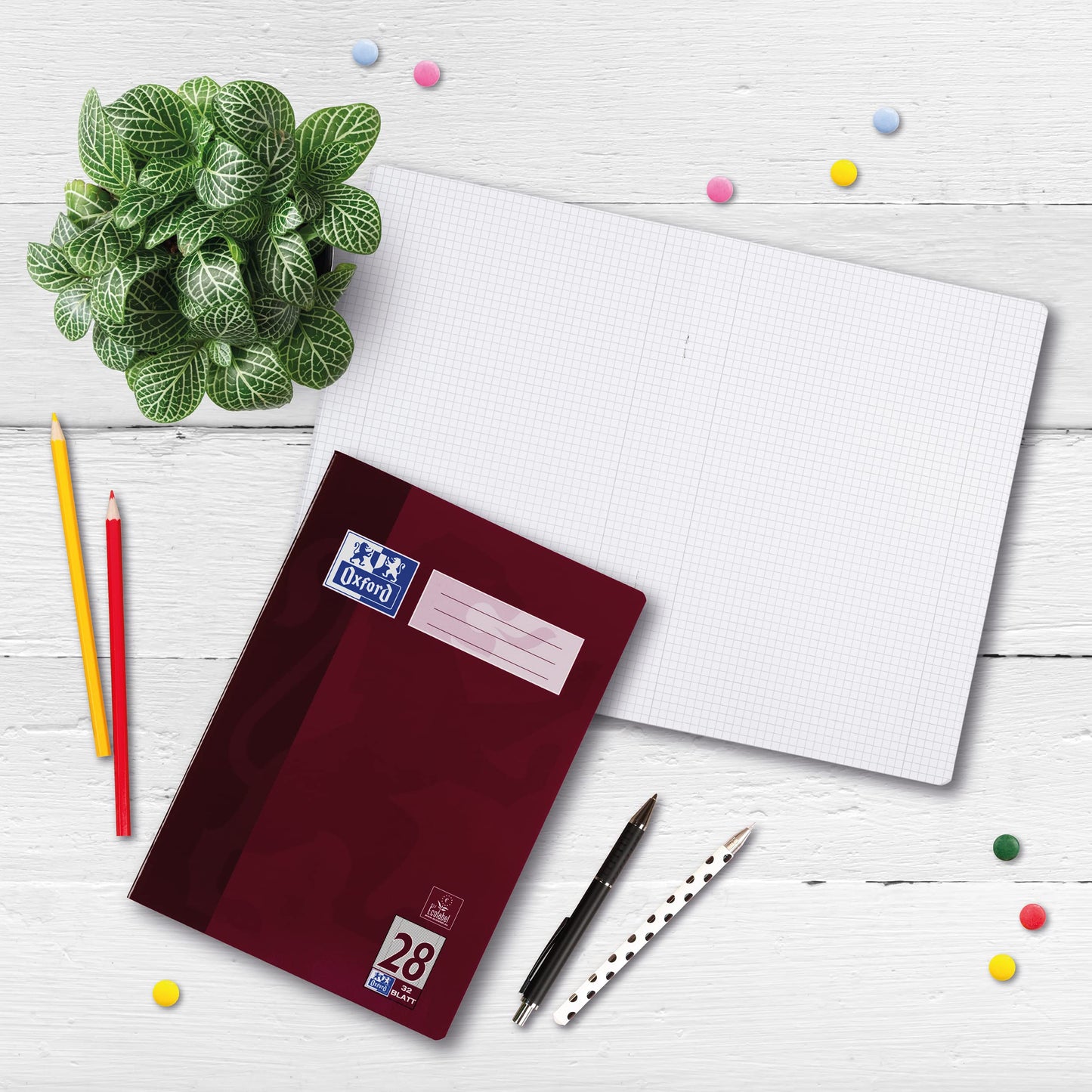 Oxford exercise book A4, 32 sheets, ruling 28, squared, 10 pieces - 100050332
