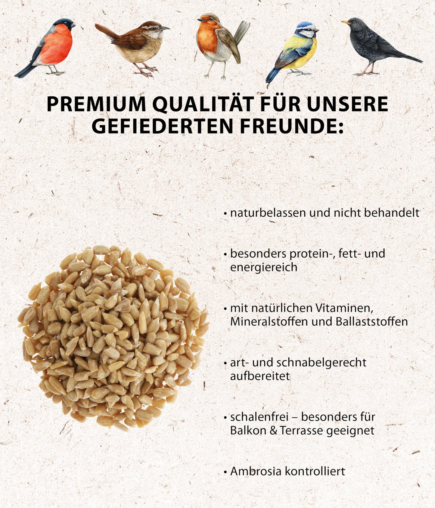 Dehner Natura Premium wild bird food, sunflower seeds shell-free, all-season food rich in protein / high in energy, high-quality bird food for wild birds, 10 kg - 5248349