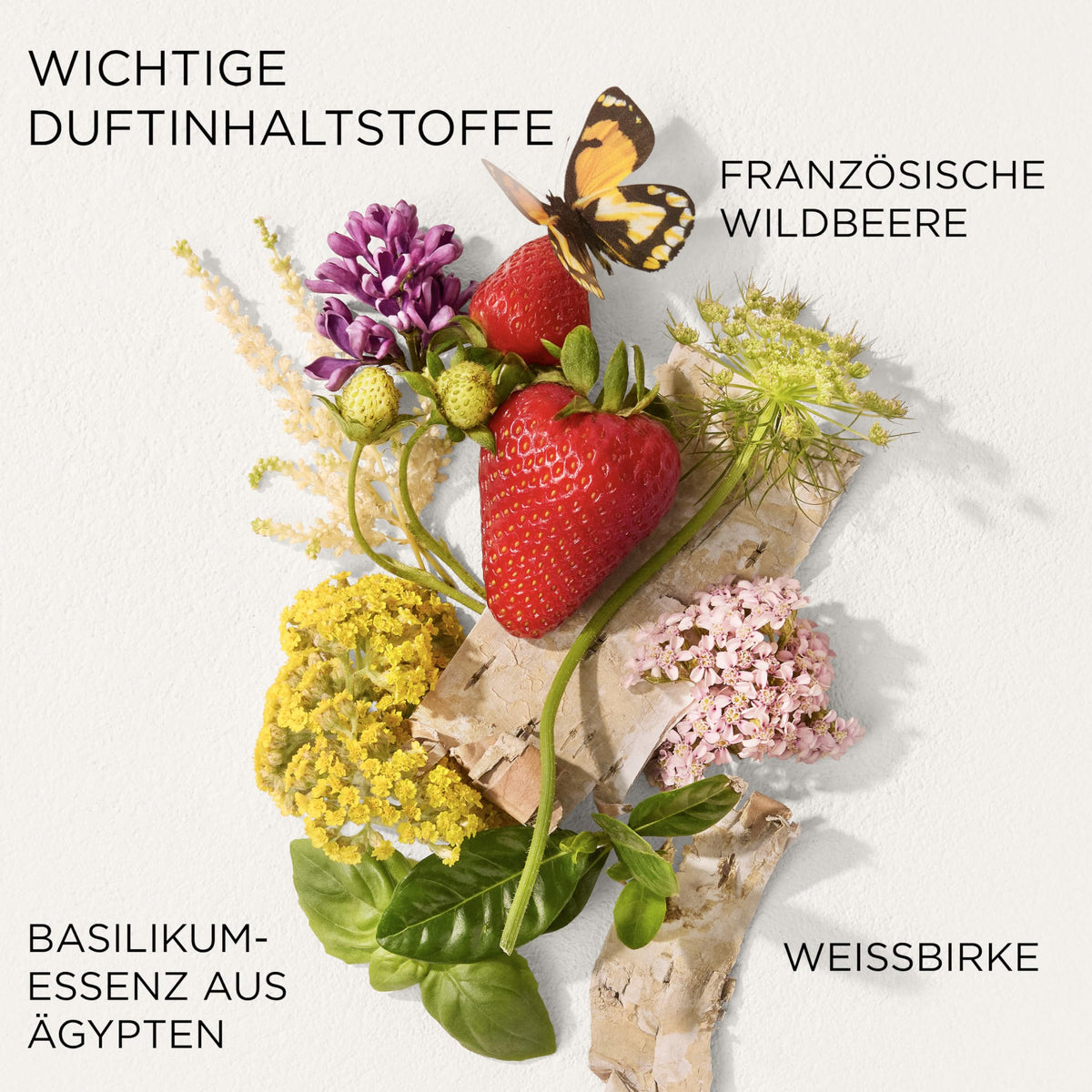 Elizabeth Arden – Green Tea Strawberry Basil Honey Drops Cremă de corp, cremă hidratantă pentru corp cu Green Tea, căpșuni, busuioc, miere și unt de cacao, îngrijire catifelată pentru toate tipurile de piele. - A0139650