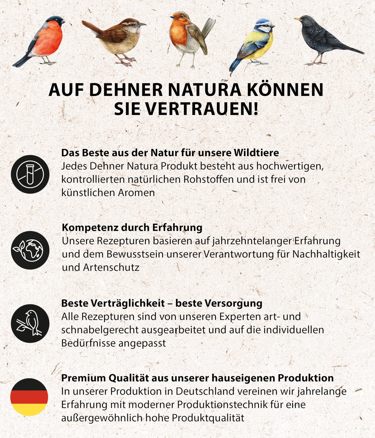 Dehner Natura Premium wild bird food, sunflower seeds shell-free, all-season food rich in protein / high in energy, high-quality bird food for wild birds, 5 kg - 5248638