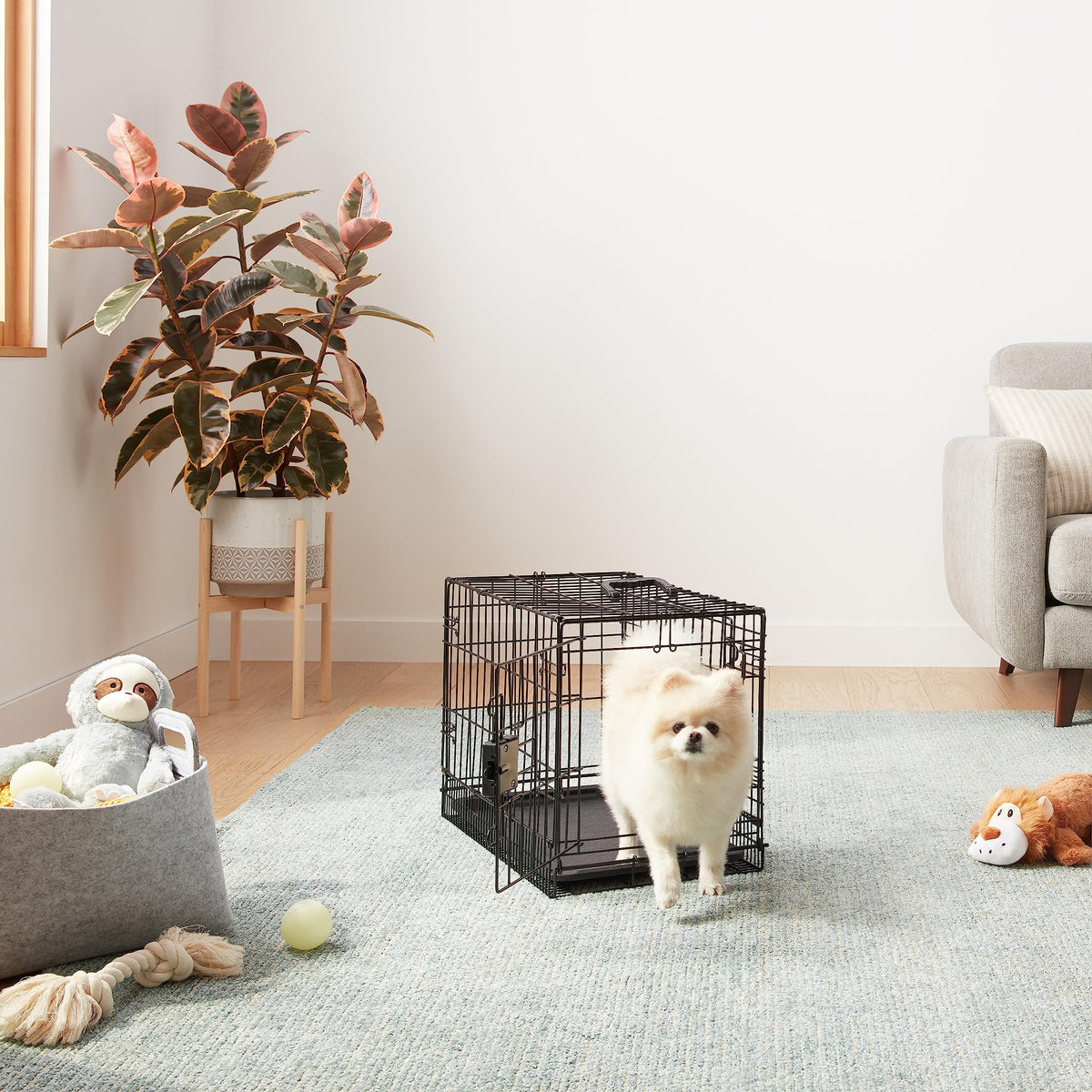 Amazon Basics Foldable Dog Crate made of Metal Wire with Floor Tray, Double Door, Foldable, Removable Bottom, 56 cm, L 56 x W 33 x H 41 cm, Black - 9001N-22B