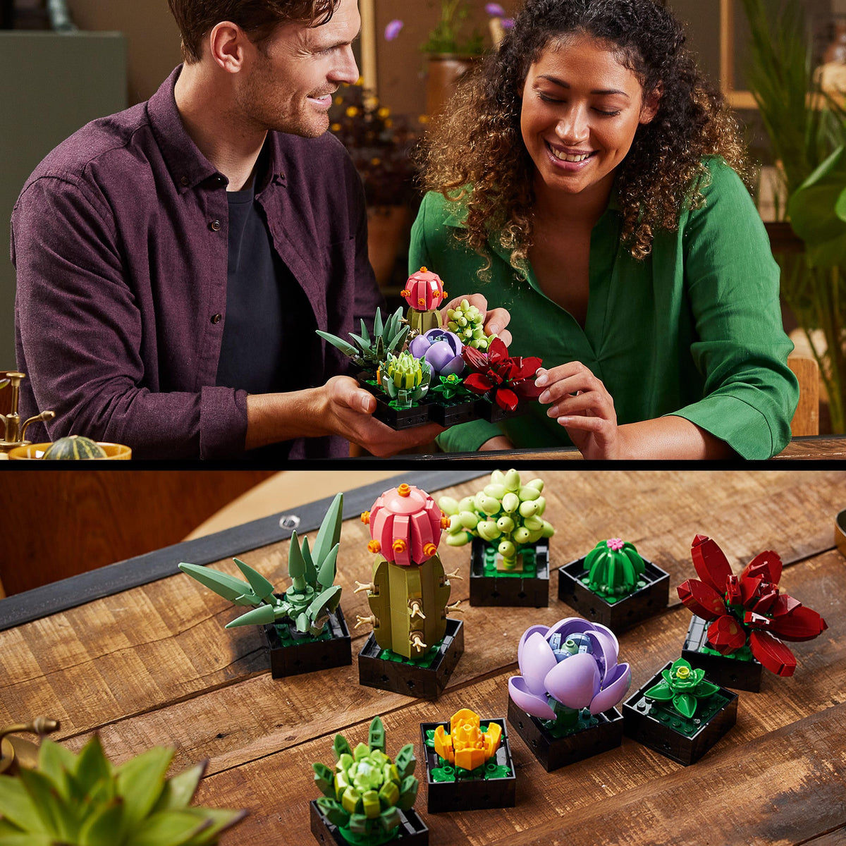 LEGO Botanicals Succulents - Artificial Flower Set for Adults - Flower Bouquet Building Set - Creative Hobby and Home Decor - Gift Idea for Women & Men - Botanic Collection (9 Plants) 10309