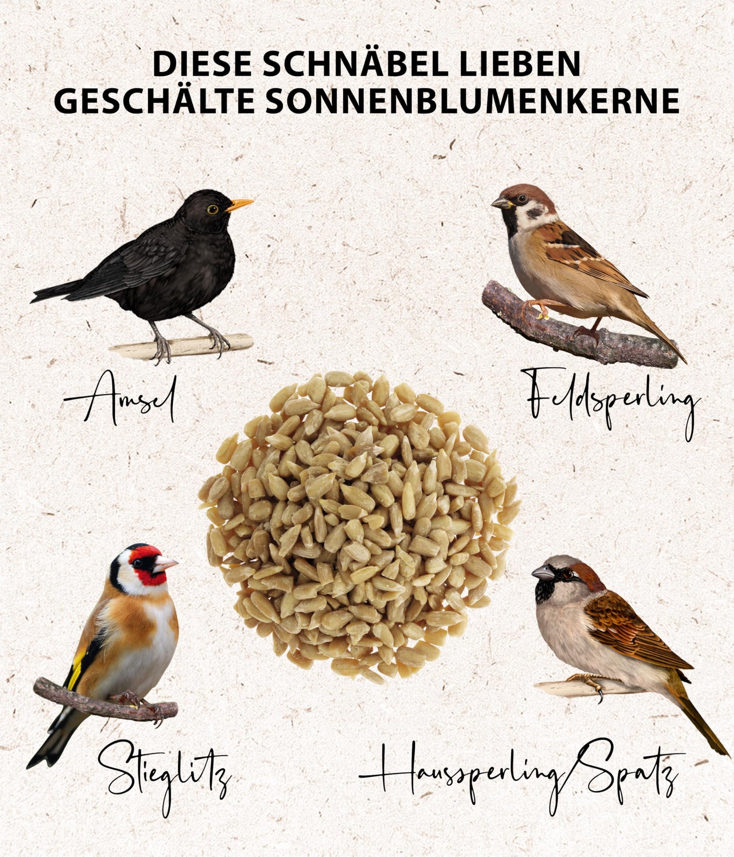 Dehner Natura Premium wild bird food, sunflower seeds shell-free, all-season food rich in protein / high in energy, high-quality bird food for wild birds, 5 kg - 5248638