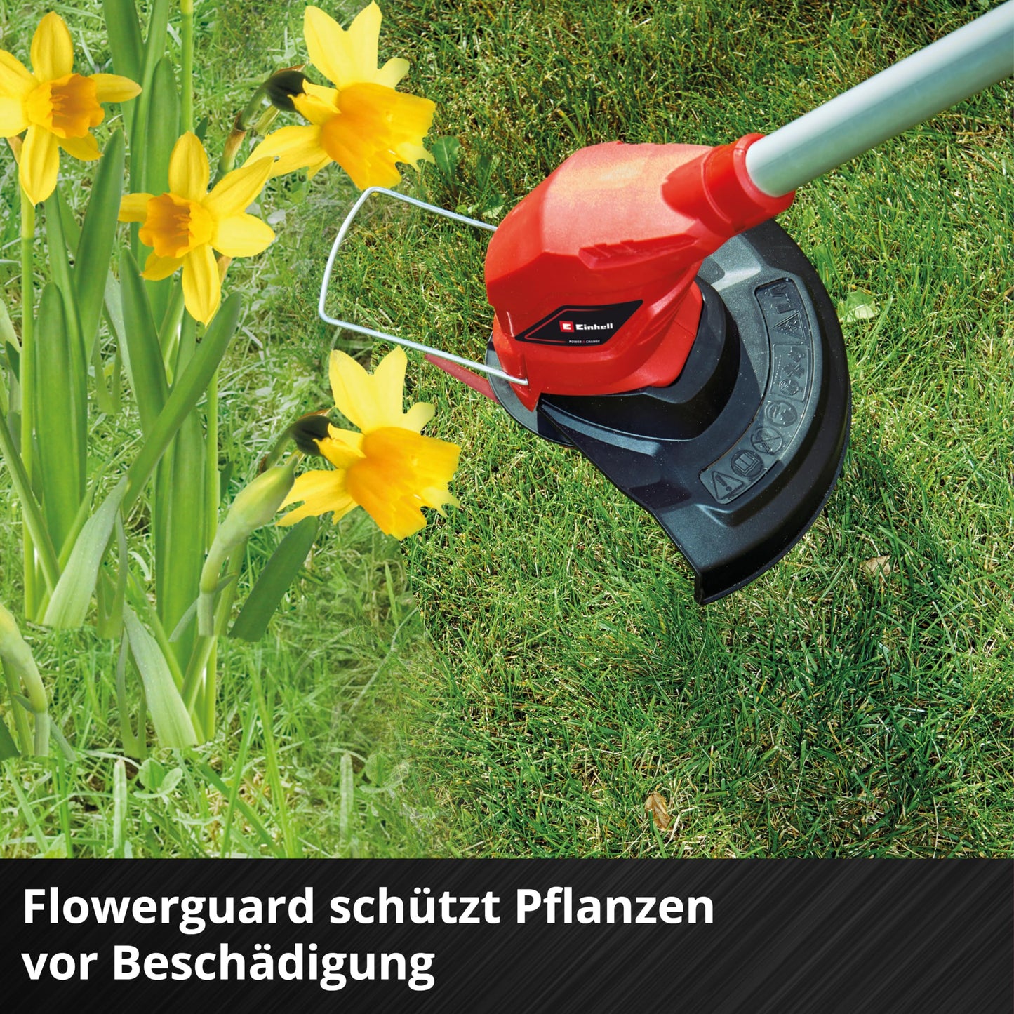 Einhell cordless grass trimmer GC-CT 18/24 Li Power - 3411125