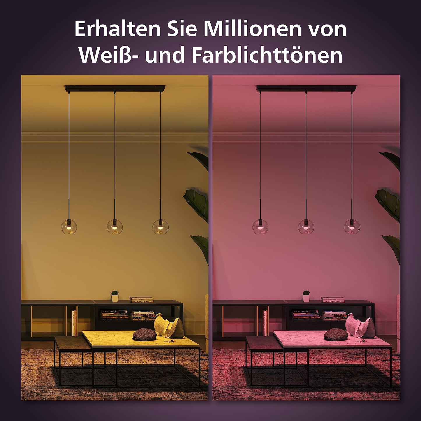 Philips Hue White and Color Ambiance Luster E14 (929003573601)