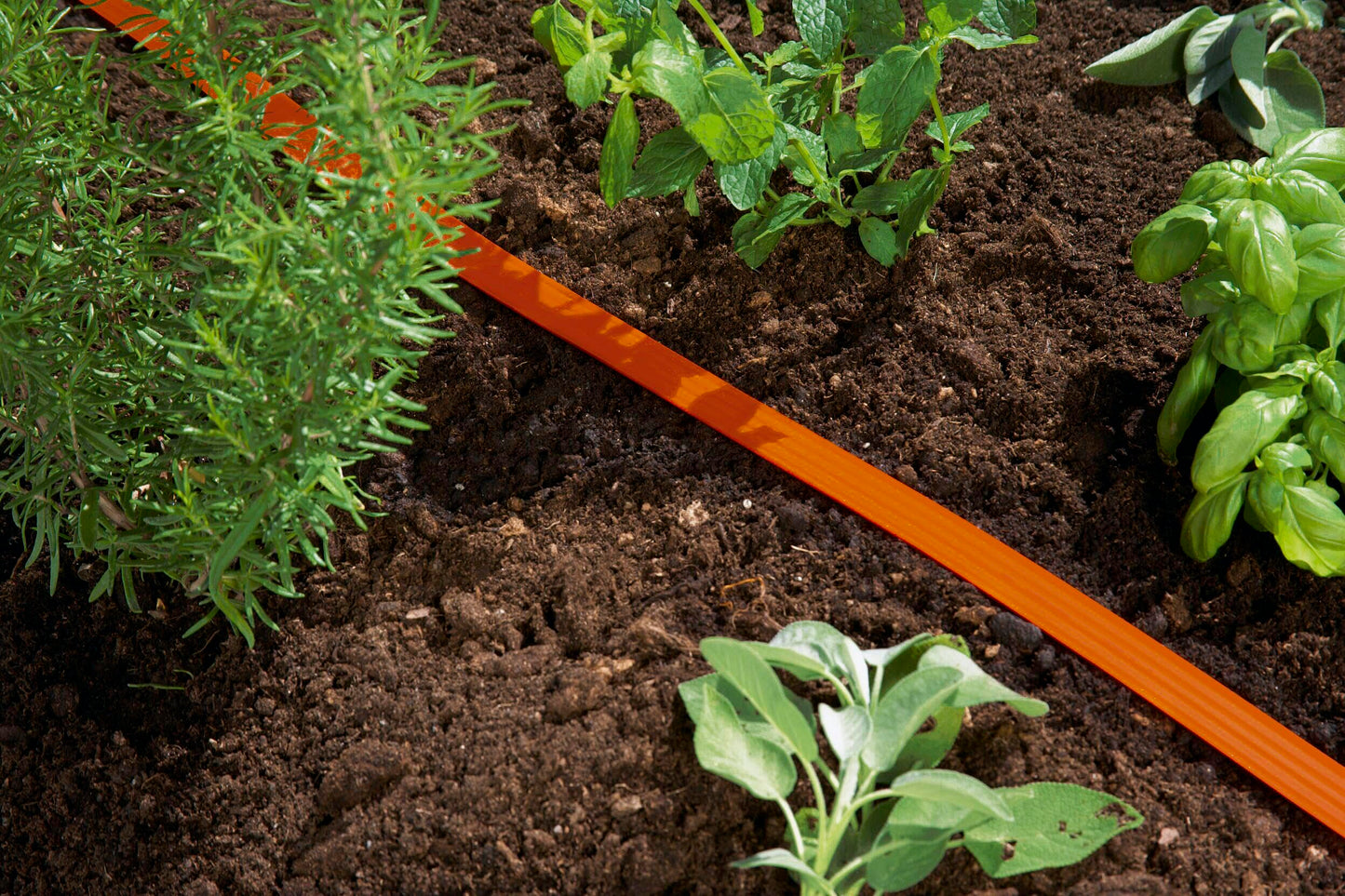 Gardena hose sprinkler: spray sprinkler for narrow beds and zones, plant-friendly fine spray mist, suitable for many connections, length adjustment possible, 15m, orange (996-20), standard - 0996-20