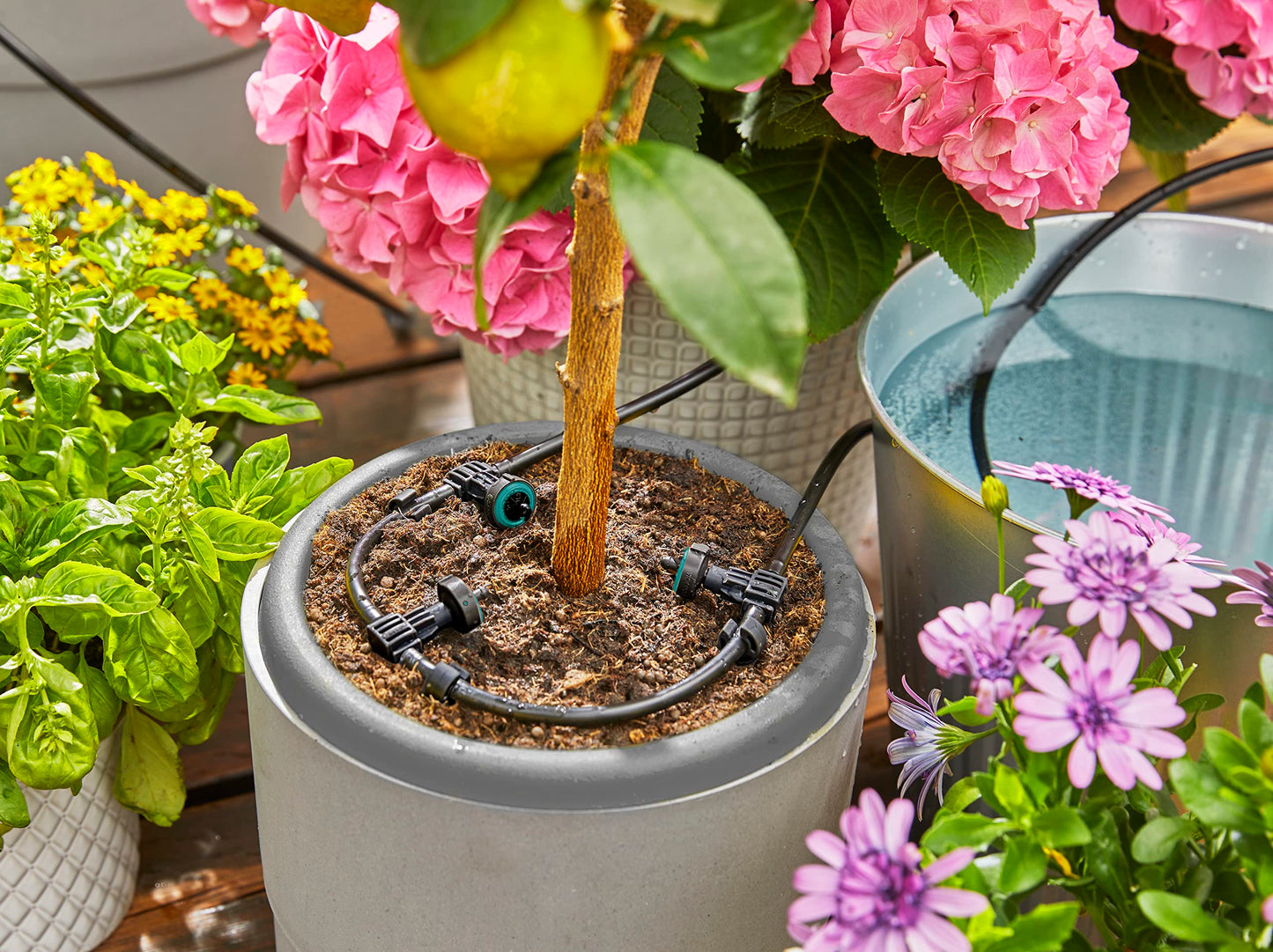 Gardena solar irrigation AquaBloom 13300-20 - 13300-20.000.00