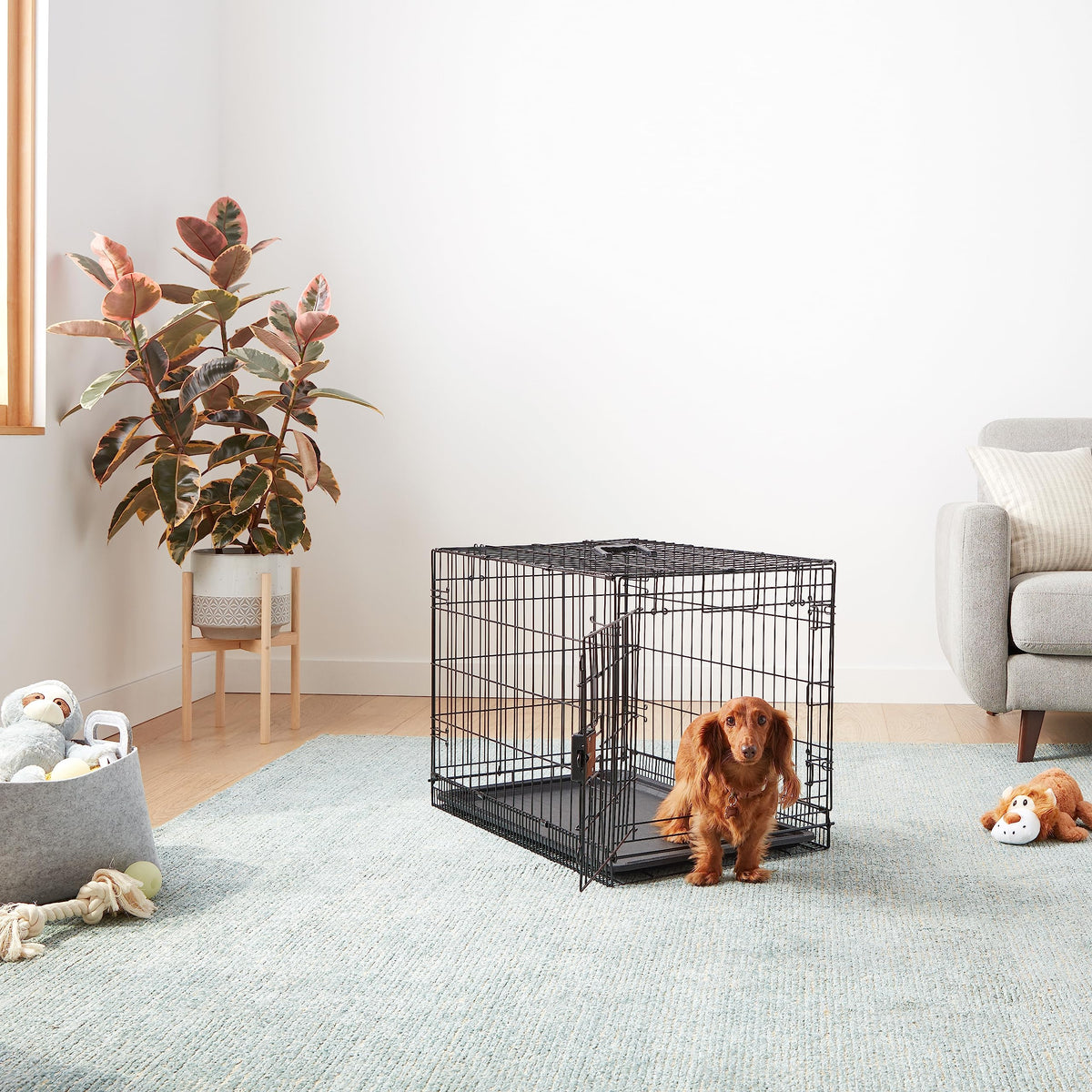 Amazon Basics Cușcă pliabilă pentru câini din sârmă metalică cu bază, ușă unică, neagră, L 76 x l 48 x H 53 cm - 9001N-30A