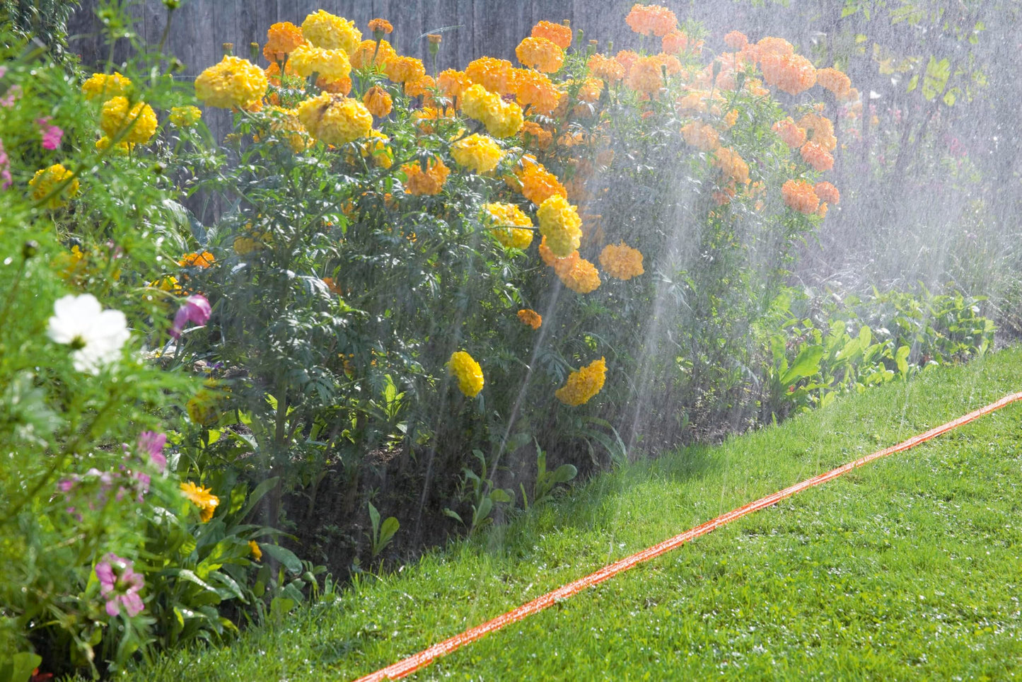 Gardena hose sprinkler: spray sprinkler for narrow beds and zones, plant-friendly fine spray mist, suitable for many connections, length adjustment possible, 15m, orange (996-20), standard - 0996-20
