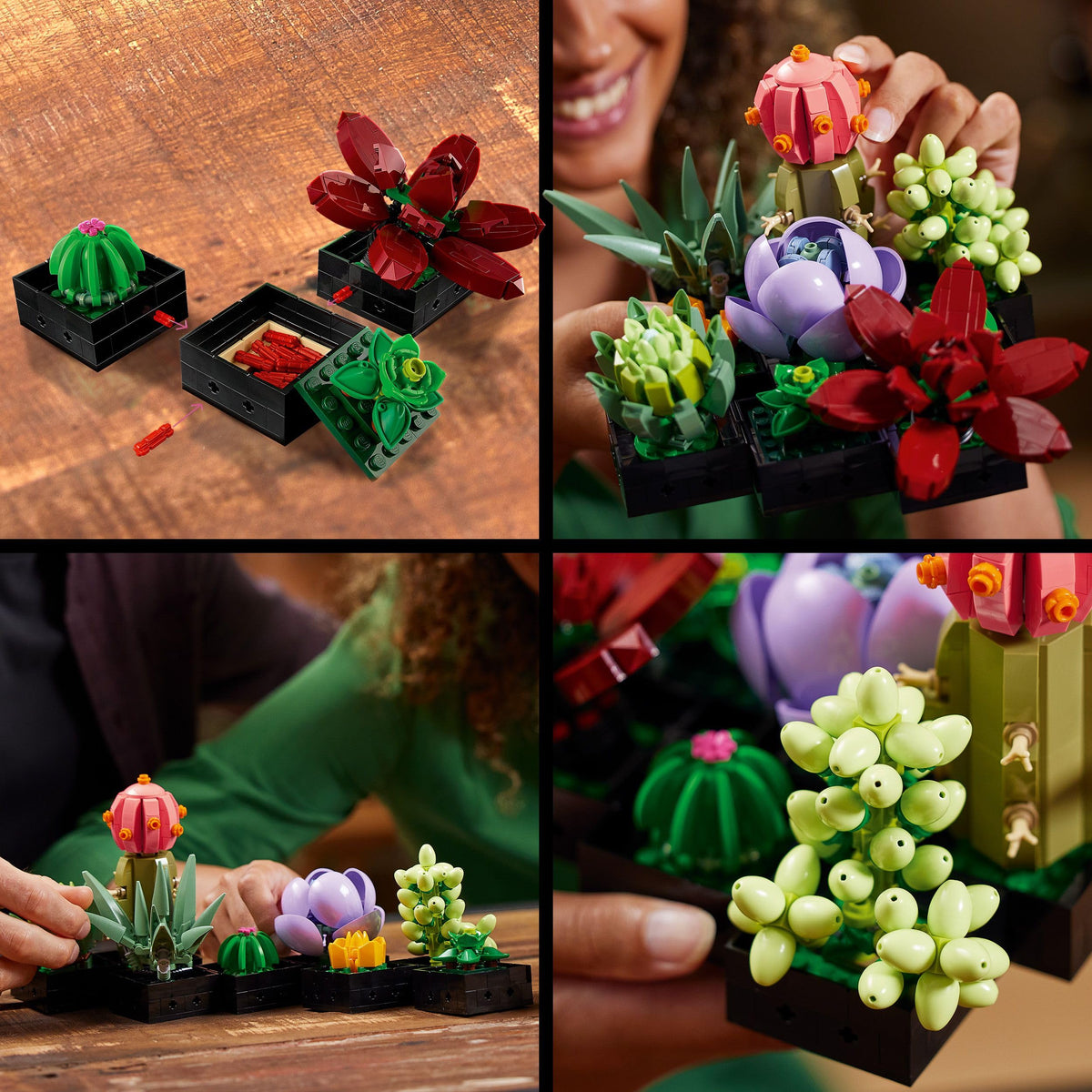 LEGO Botanicals Succulents - Artificial Flower Set for Adults - Flower Bouquet Building Set - Creative Hobby and Home Decor - Gift Idea for Women & Men - Botanic Collection (9 Plants) 10309